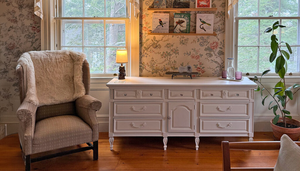 Birds of a Feather room dresser and chair