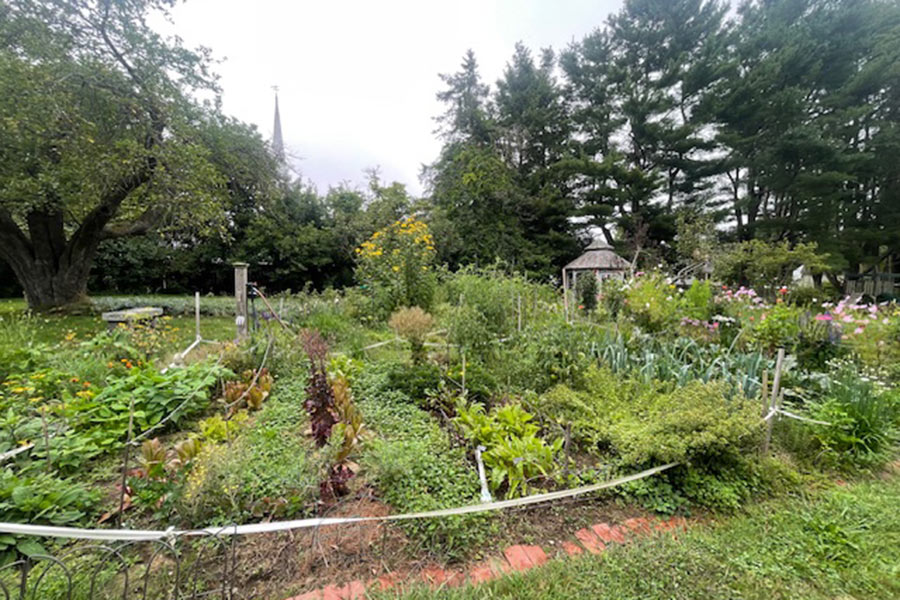 The Garden